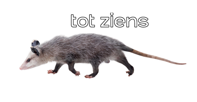 Farewell possum