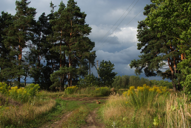 DSCF1938 1.jpg