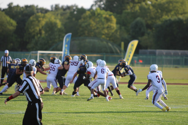 IMG-3946.jpg