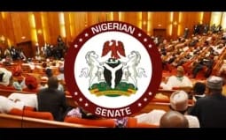 South Nigeria Faces Rising Insecurity, Group Calls for Urgent Action