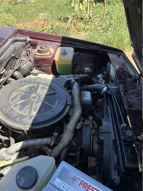 [Resim: MG-6826.jpg]