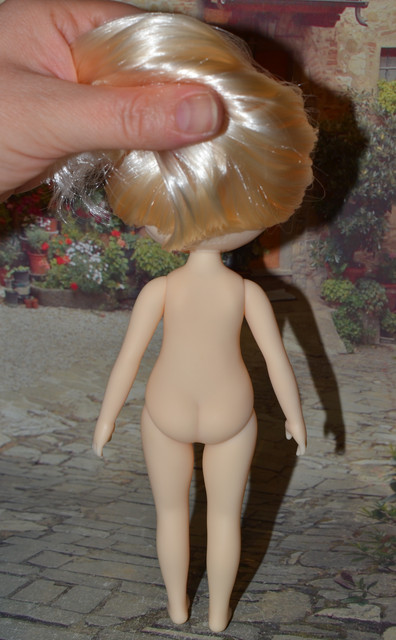 DSC-0502