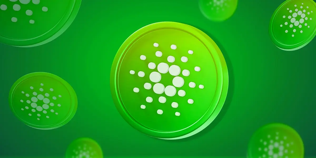 Cardano Investors' Big Moves