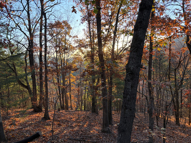 IMG-8203