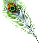 shutterstock 103428143