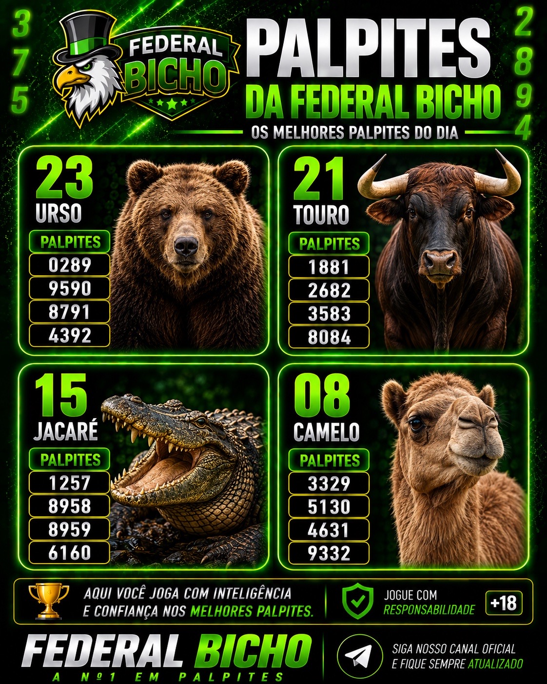 Palpites do Dia