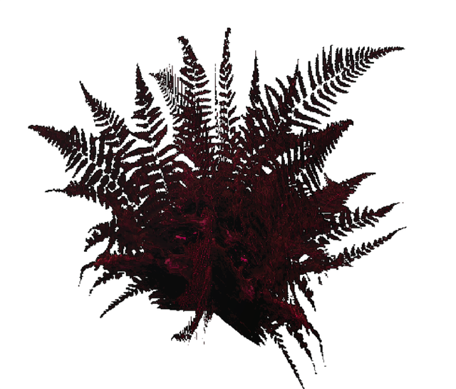 Dark Mudferns1