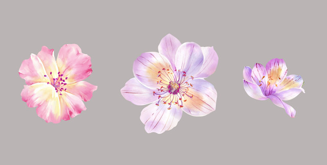 Adobe-Stock-393341035