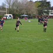 DSC 0544
