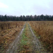 DSC00314