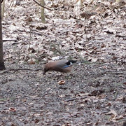 IMG_3601