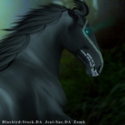 Webp-net-compress-image-93