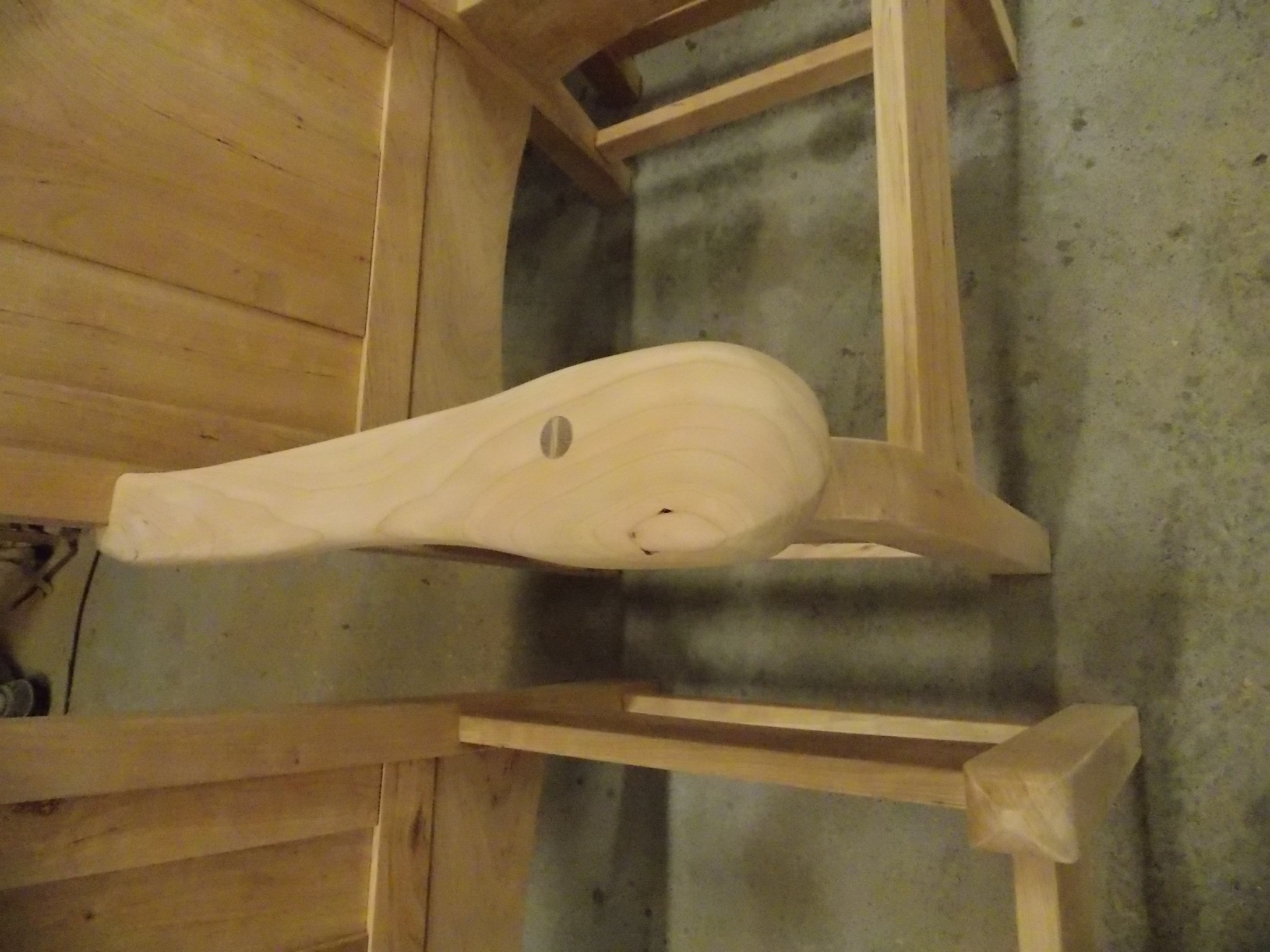 DSCN1087.jpg