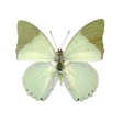999366b6.png