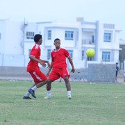 IMG 6328