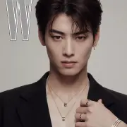 cha eun woo 1249047