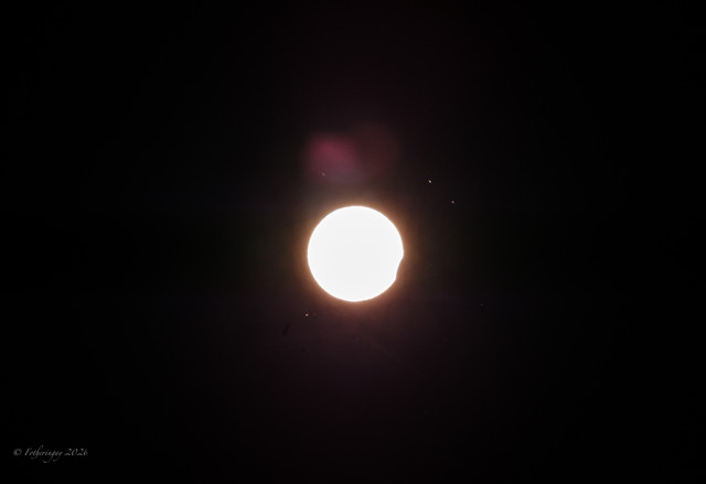 DSF6651.jpg