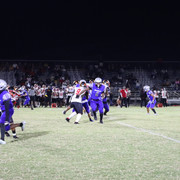 IMG-1345