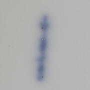 20251202-115704