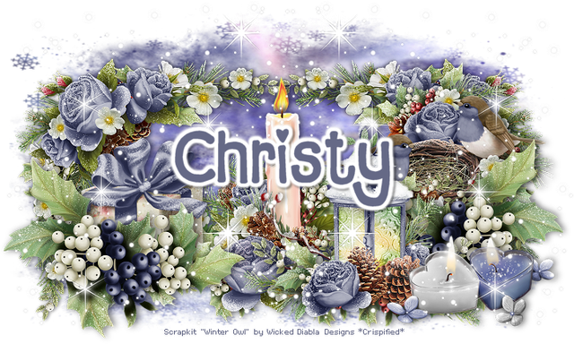Christy 4973B.png