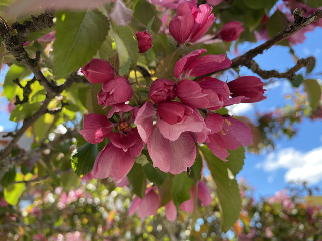 B9-F4-CD9-E-F010-4-DCB-9-E6-F-8-A90-DA93