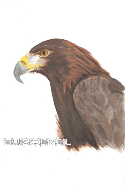 Painting4