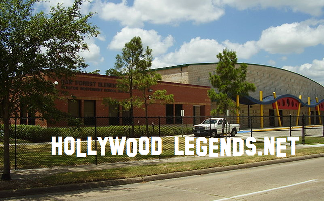 swayze elemoakforrest.png