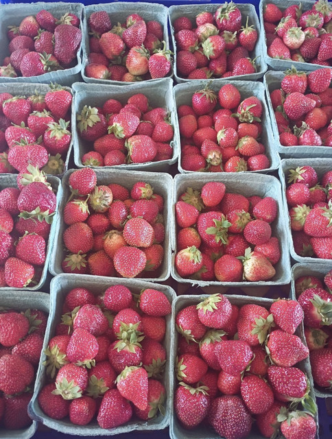 Daily life at DJ's Fresh Market farm stand in Appleton WI