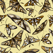 pp (90)