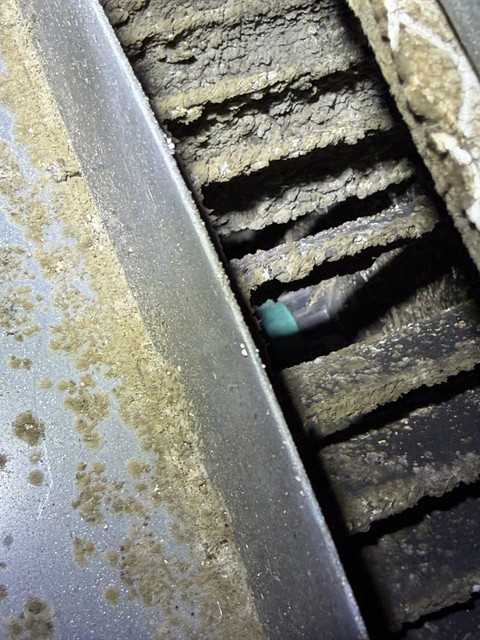 IMG 2410.jpg