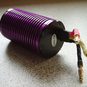 Gorilla-Maxx-166