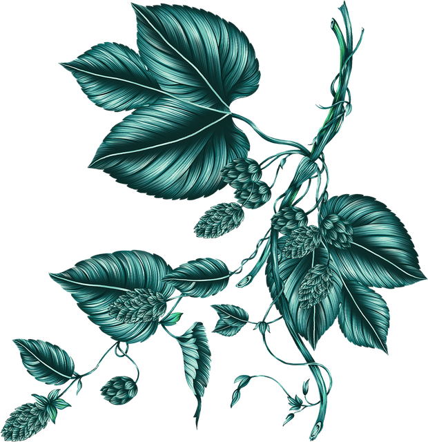 6f706bf77dfe74b409c47b0ca86fa99f.png