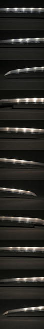 DSC3829