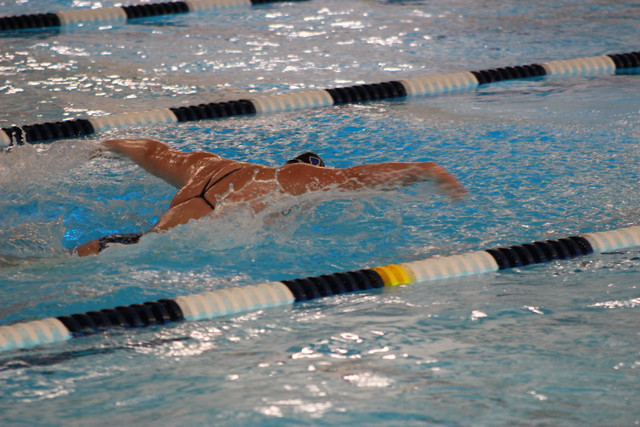 IMG-0298