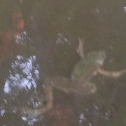 20170828 164820