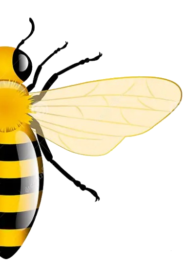 transparent.png