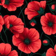 243