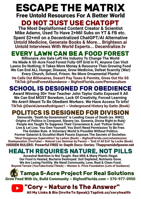escapematrix flyer2.jpg