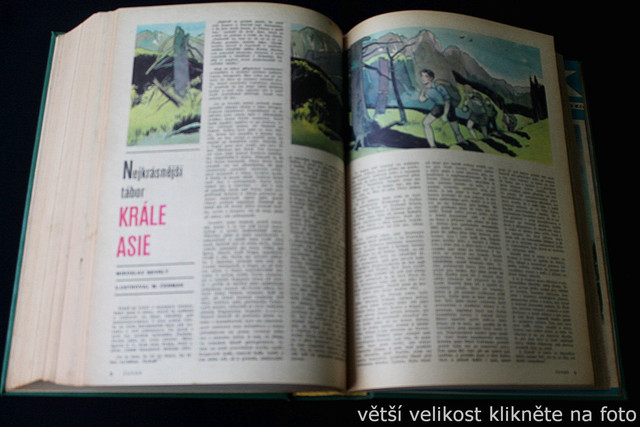IMG-2454.jpg