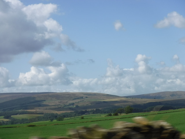 DSCF9114.jpg