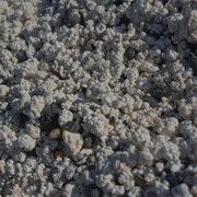 DSCF8494