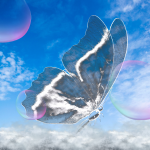 butterfly.png