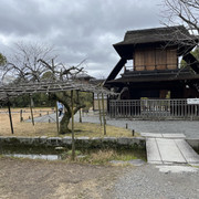 IMG-2850-1