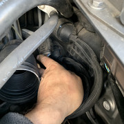 IMG-0381