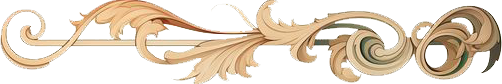 IMG-SEPARADOR-01.png