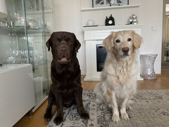 48-D72-A68-1-DCD-4-F33-A166-7679-B3425-C