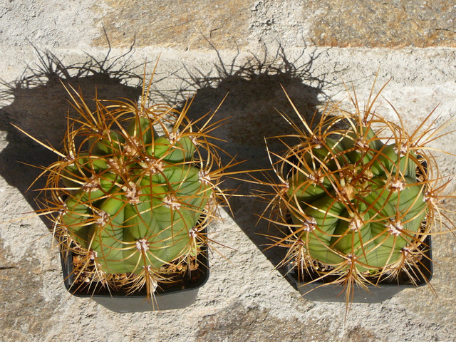P1090178