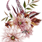 1215.png