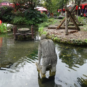 DSC05737