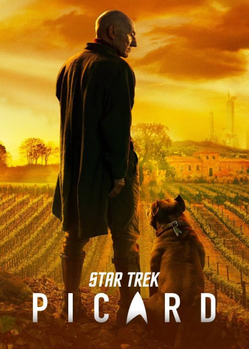 Star Trek: Picard (2020) (Sezon 1) FiNAL.PL.480p.AMZN.WEB-DL.H.264-666 / PROFESJONALNY LEKTOR PL